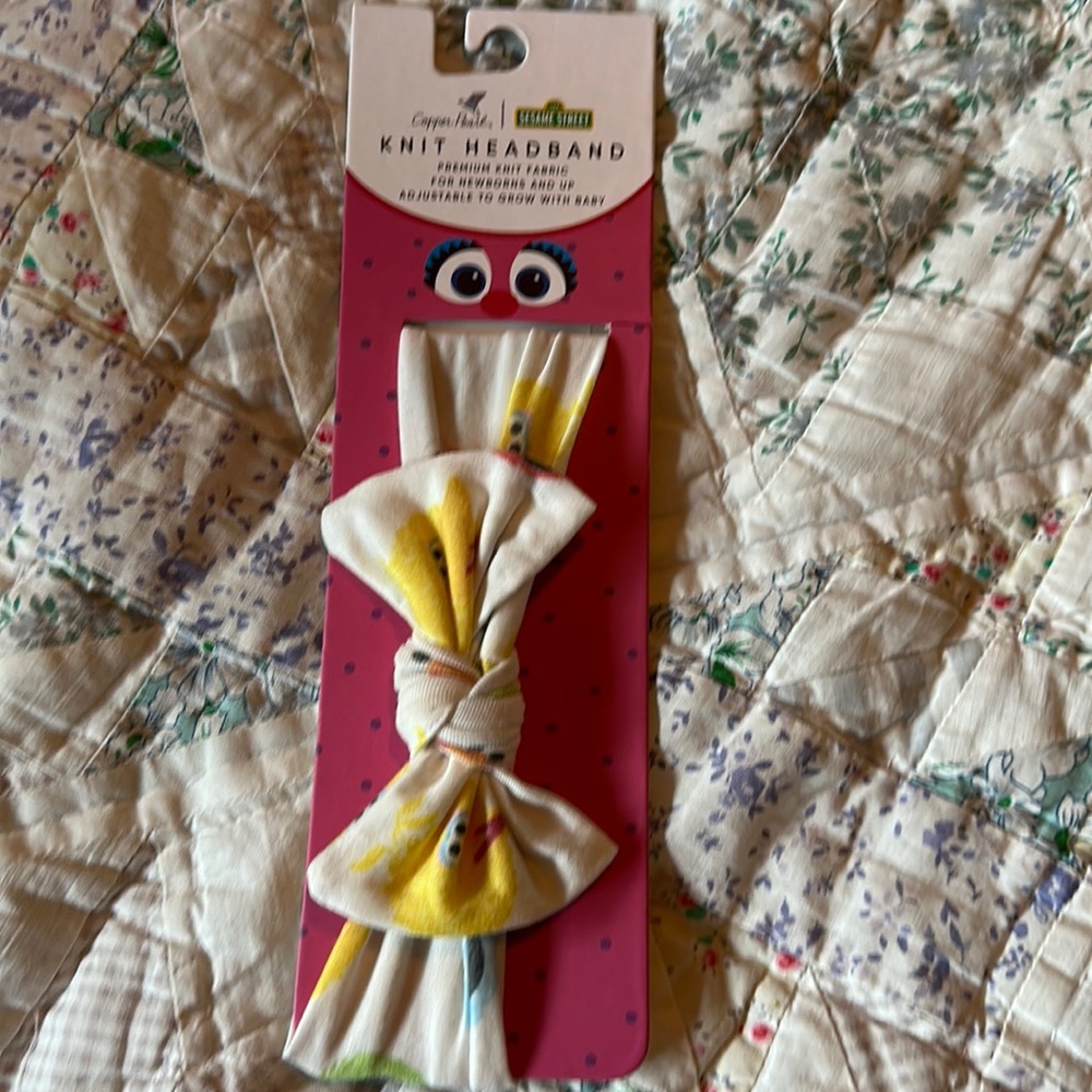 Sesame Street net fabric headband